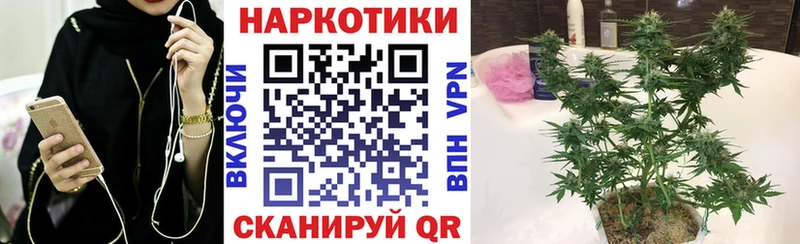 Галлюциногенные грибы Нижнеудинск