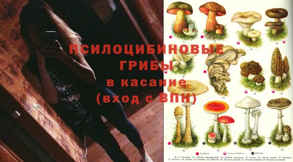 соль ск Осташков
