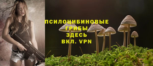 герыч Арсеньев