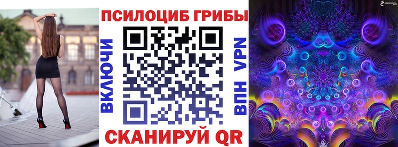 купить  сайты  Нижнеудинск  Галлюциногенные грибы MAGIC MUSHROOMS 